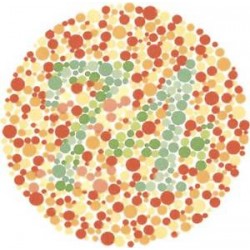 Colour Vision Tests