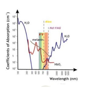 Thermaeyes Plus IPL